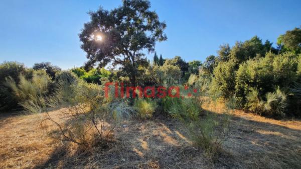 Terreno en calle Quípar s/n