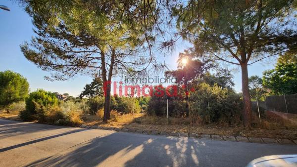 Terreno en calle Quípar s/n