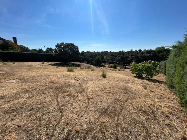 Terreno en calle Cea