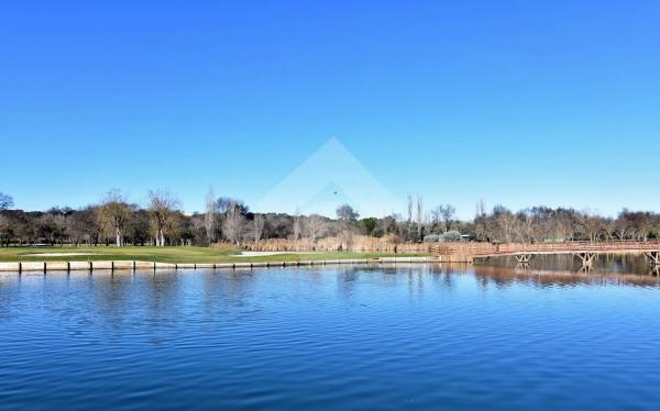 Terreno en calle Cea