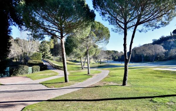 Terreno en calle Cea