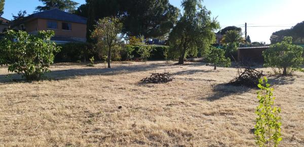 Terreno en Castillo - Campodón