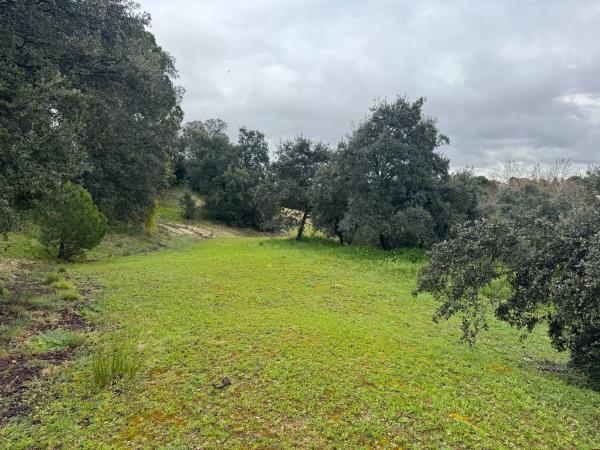 Terreno en calle Leizarán