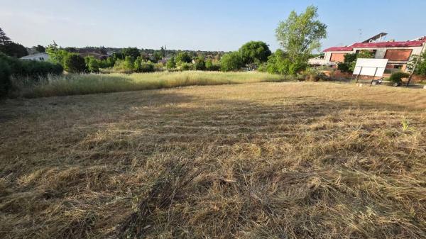 Terreno en calle Faroles, 4
