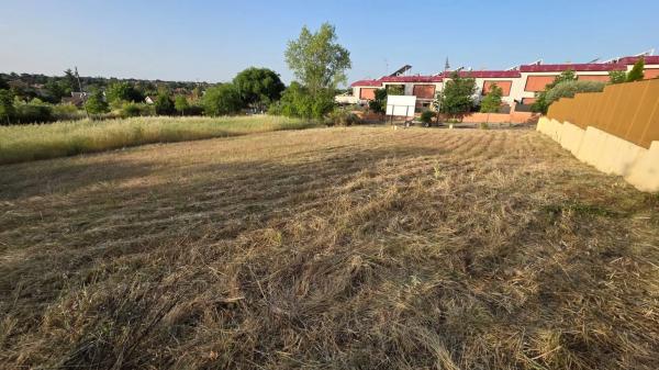 Terreno en calle Faroles, 4