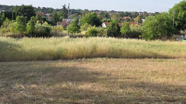 Terreno en calle Faroles, 4
