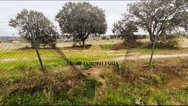 Terreno en 829v+gm s/n