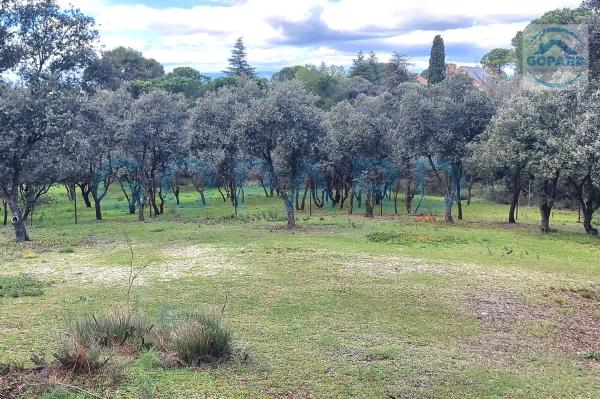 Terreno en El Bosque