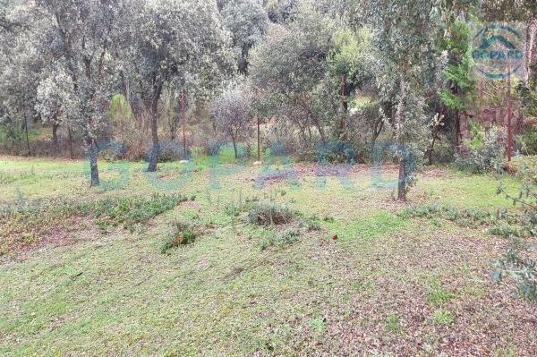 Terreno en El Bosque