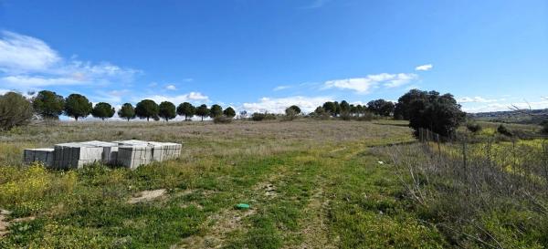 Terreno en 829v+gm s/n