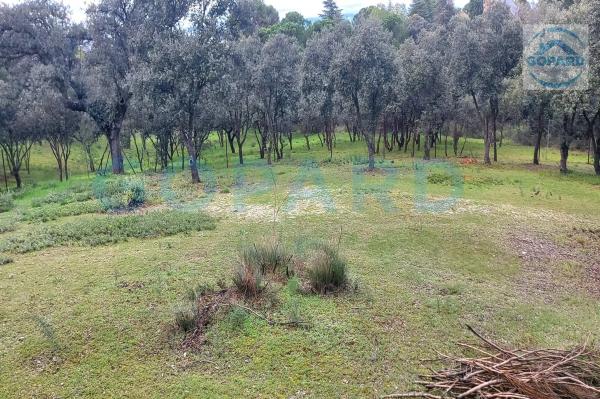 Terreno en El Bosque