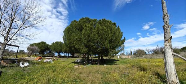 Terreno en 829v+gm s/n