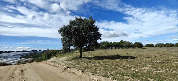 Terreno en 829v+gm s/n