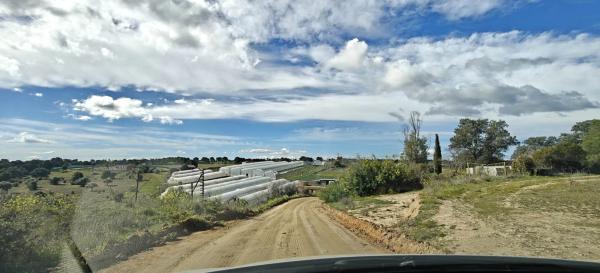 Terreno en 829v+gm s/n