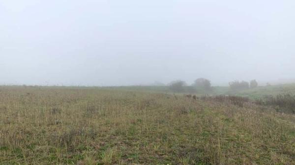 Terreno en vereda del Cerro de los Olivares y de la Cueva de la Mora