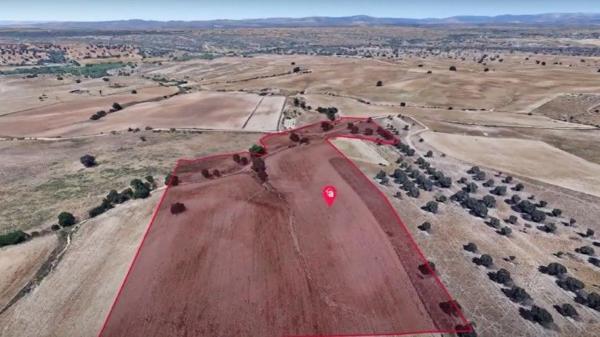 Terreno en vereda del Cerro de los Olivares y de la Cueva de la Mora