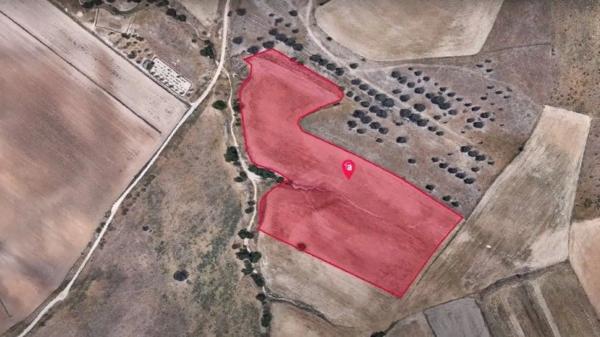 Terreno en vereda del Cerro de los Olivares y de la Cueva de la Mora