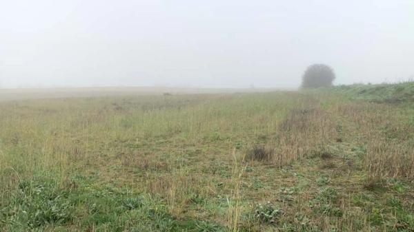 Terreno en vereda del Cerro de los Olivares y de la Cueva de la Mora