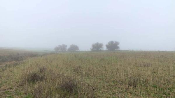 Terreno en vereda del Cerro de los Olivares y de la Cueva de la Mora