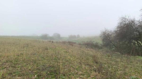 Terreno en vereda del Cerro de los Olivares y de la Cueva de la Mora