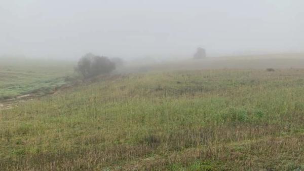 Terreno en vereda del Cerro de los Olivares y de la Cueva de la Mora