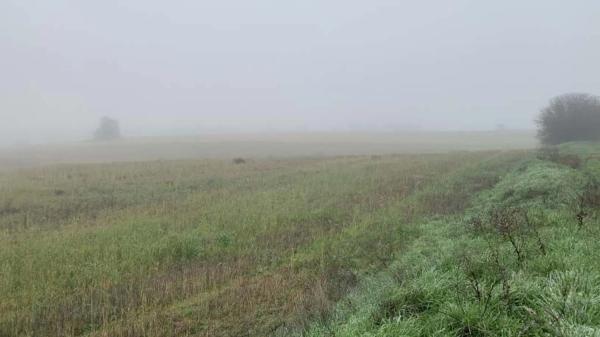 Terreno en vereda del Cerro de los Olivares y de la Cueva de la Mora
