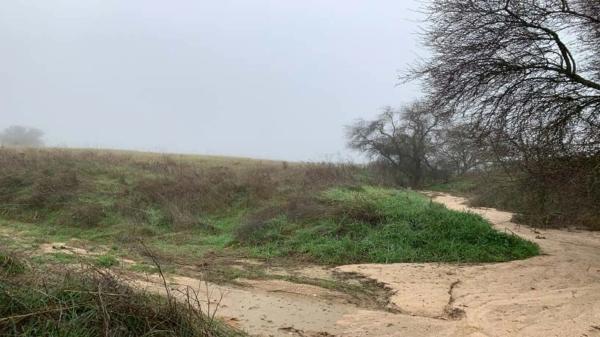 Terreno en vereda del Cerro de los Olivares y de la Cueva de la Mora