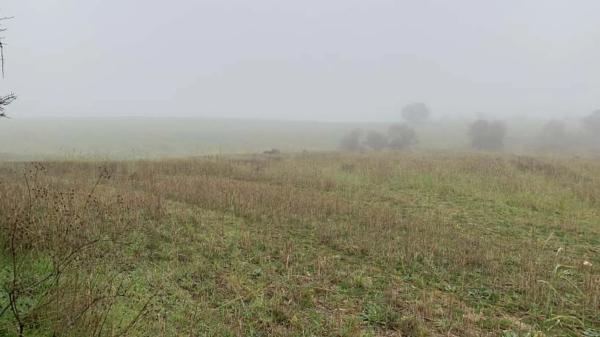 Terreno en vereda del Cerro de los Olivares y de la Cueva de la Mora
