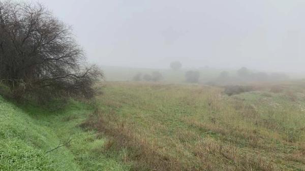 Terreno en vereda del Cerro de los Olivares y de la Cueva de la Mora