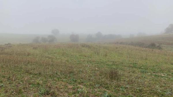Terreno en vereda del Cerro de los Olivares y de la Cueva de la Mora