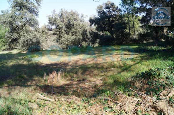 Terreno en El Bosque