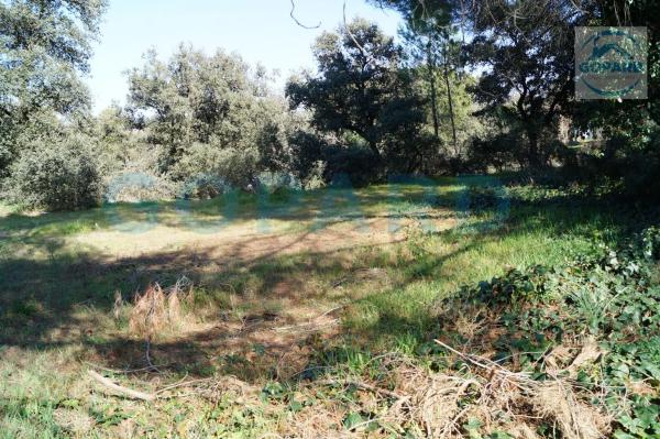 Terreno en El Bosque