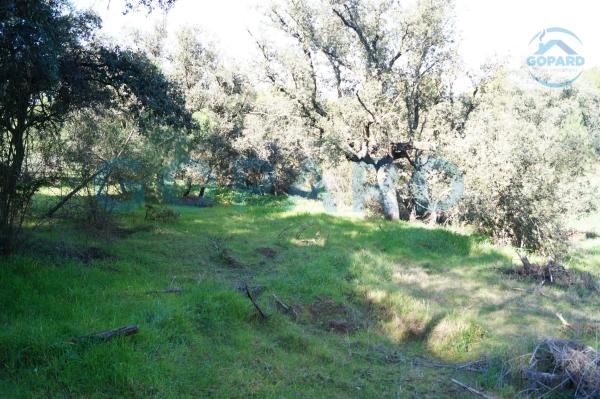 Terreno en El Bosque