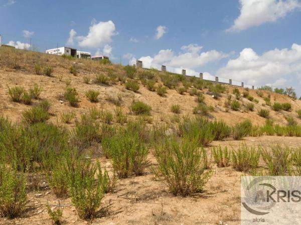 Terreno en carretera de Ajalvir
