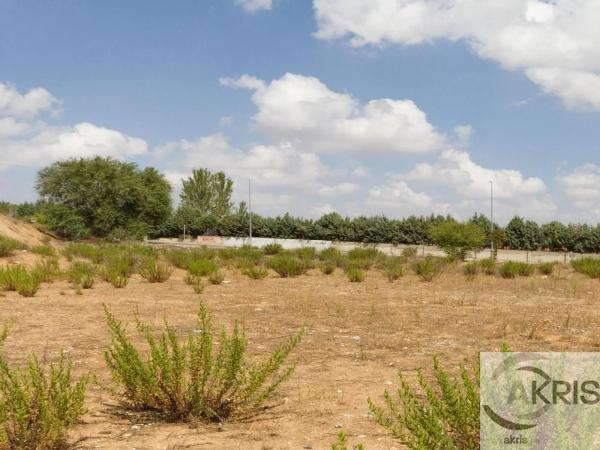 Terreno en carretera de Ajalvir