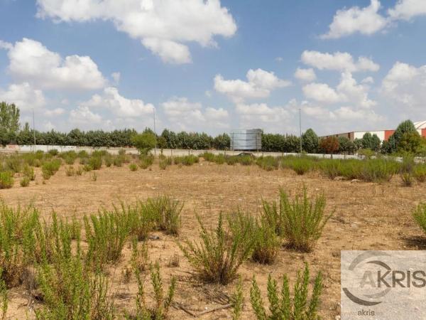 Terreno en carretera de Ajalvir