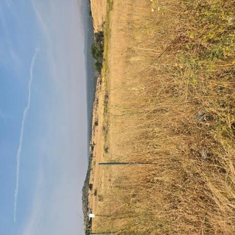 Terreno en via poligono 4 parcel 799 s/n