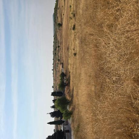 Terreno en via poligono 4 parcel 799 s/n