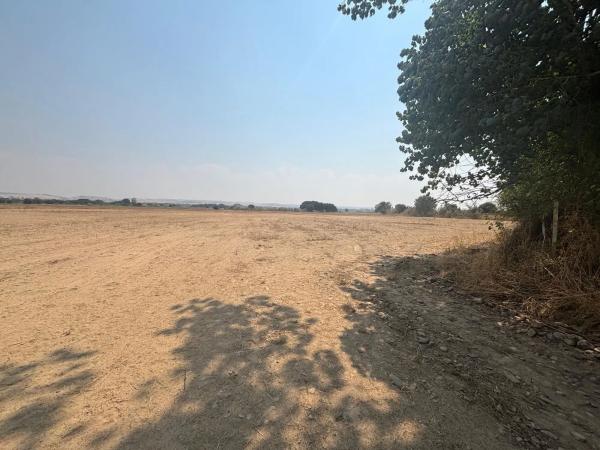 Terreno en Talamanca de Jarama