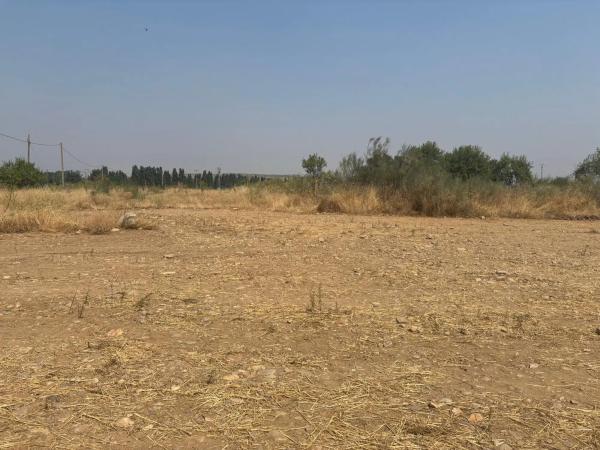 Terreno en Talamanca de Jarama