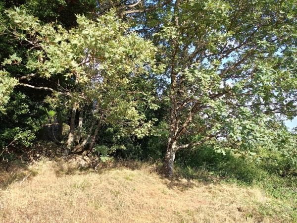 Terreno en calle de la Fuente del Cura