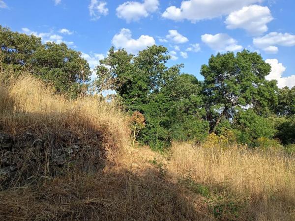 Terreno en calle de la Fuente del Cura