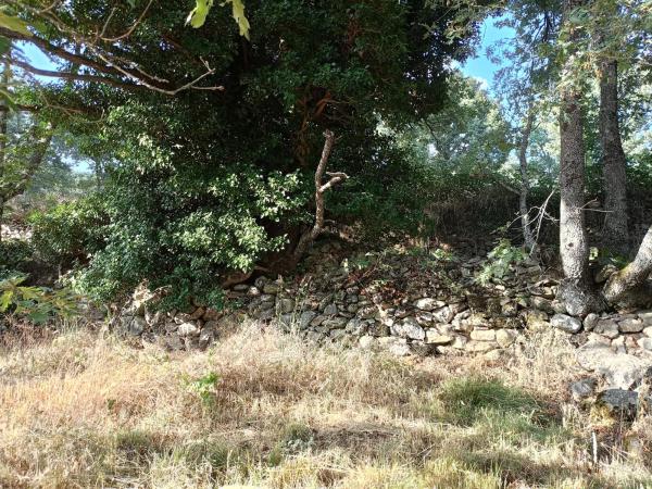Terreno en calle de la Fuente del Cura