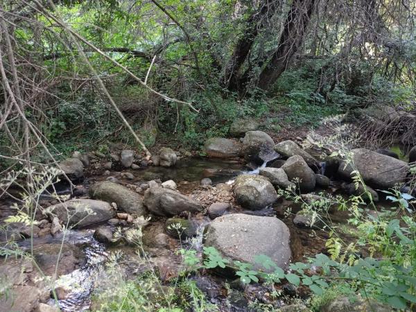 Terreno en calle de la Fuente del Cura