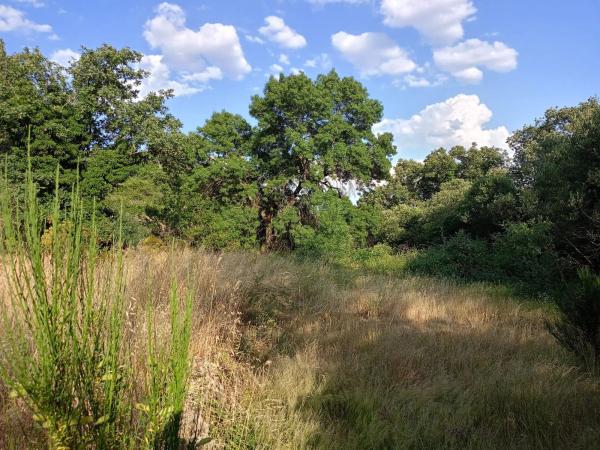 Terreno en calle de la Fuente del Cura