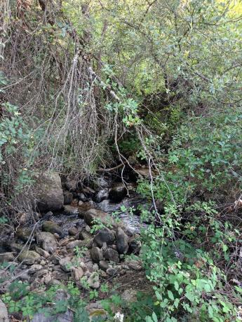 Terreno en calle de la Fuente del Cura