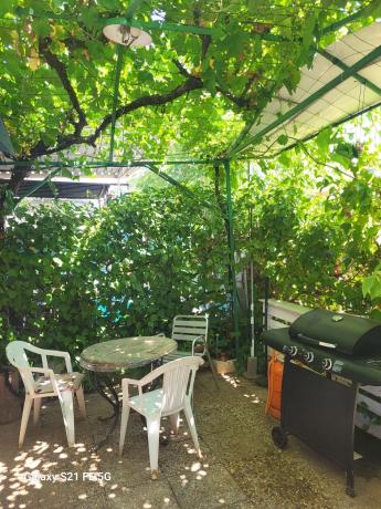 Terreno en cam del camping s/n