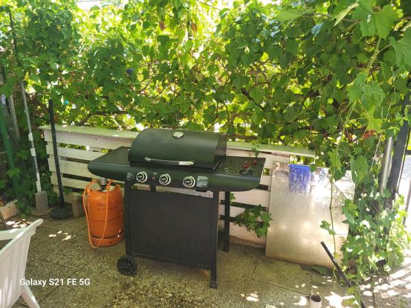 Terreno en cam del camping s/n