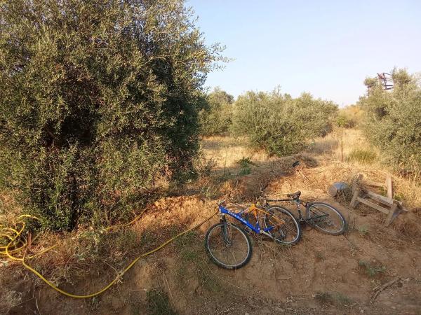 Terreno en Diseminado Cr Canal Isa Ii s/n