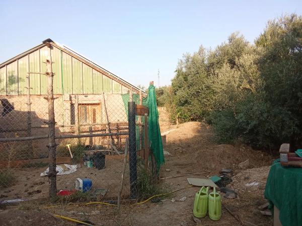 Terreno en Diseminado Cr Canal Isa Ii s/n